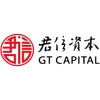 Similar Investor GT Capital
