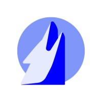 Similar Investor Iron Wolf Capital