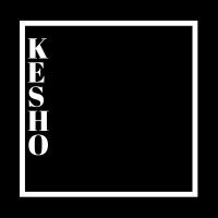 Similar Investor Kesho Capital