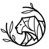 Similar Investor LionTree
