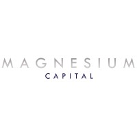 Similar Investor Magnesium Capital