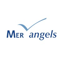 Similar Investor Mer Angels