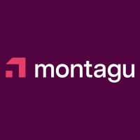 Similar Investor Montagu