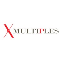 Similar Investor Multiples