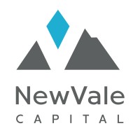 Similar Investor NewVale Capital