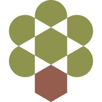Similar Investor Olive Tree Capital