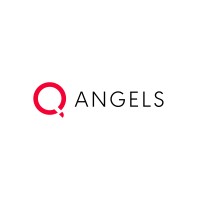 Similar Investor Q Angels