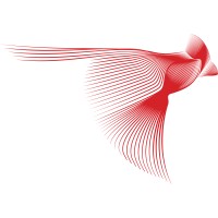 Similar Investor RedBird Capital Partners