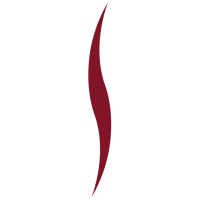 Similar Investor Satya Capital
