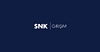 Similar Investor SNK (GSYO)