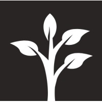 Similar Investor Sowing Capital