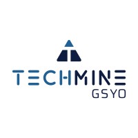 Similar Investor Techmine Gsyo