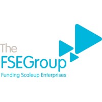 Similar Investor The FSE Group