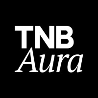 Similar Investor TNB AURA