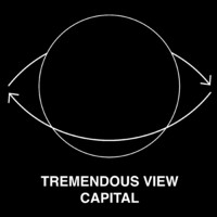 Similar Investor Tremendous View Capital