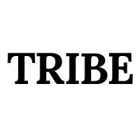 Similar Investor Tribe Capital