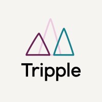 Similar Investor Tripple
