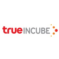 Similar Investor True Incube