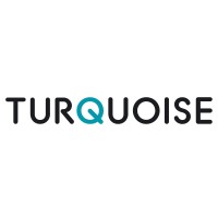 Similar Investor Turquoise International