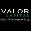 Similar Investor Valor Capital Venture Capital Fund Management Ltd.