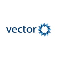 Similar Investor Vector