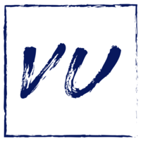 Similar Investor VU Venture Partners