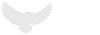 Similar Investor White Owl Capital Partners